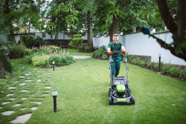 Professional Landscaping Services in Wollongong for Beautiful Outdoor Spaces