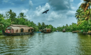 Kerala Travel Guide: From the USA and Kolkata to God’s Own Country